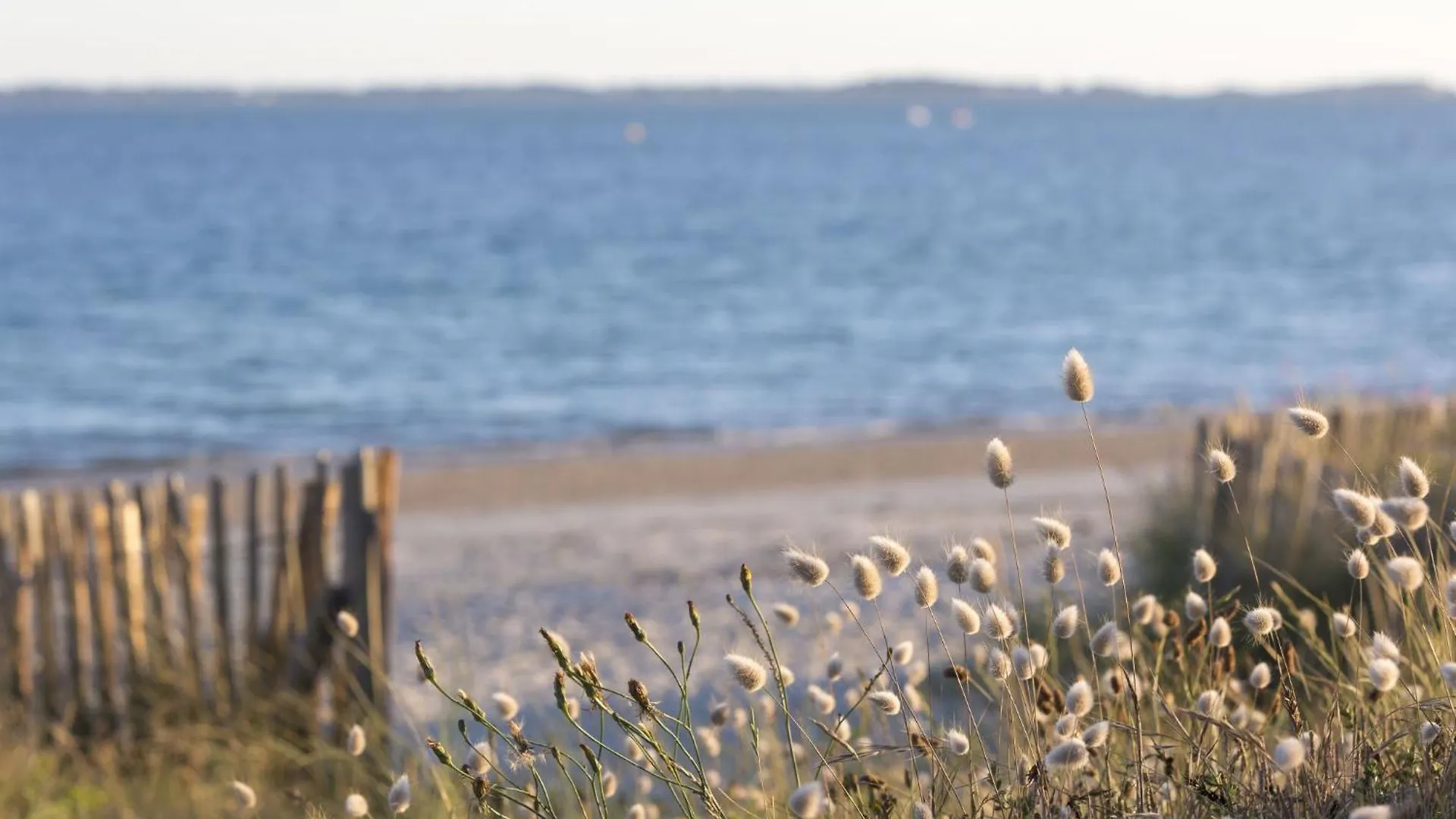 Holiday Home Les Ondes By Interhome Carnac Francie